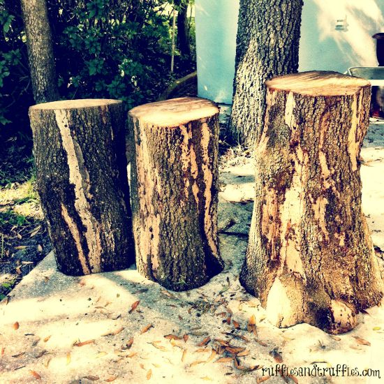 cut tree stumps