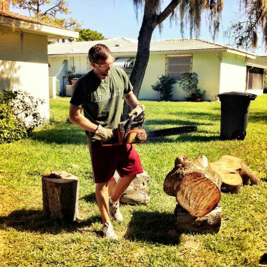 cutting down tree stump