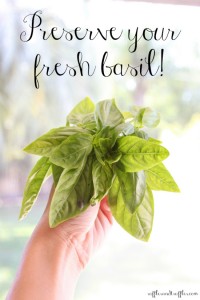 how to preserve your fresh basil