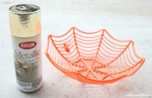 DIY spider bowl and spray paint