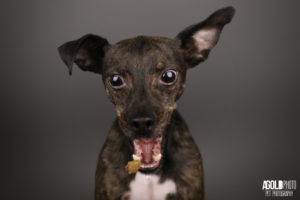 In-Home Photo Shoot with AGold Photo