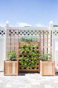 DIY Vertical Pizza Garden