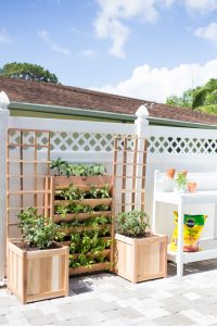 DIY Vertical Pizza Garden